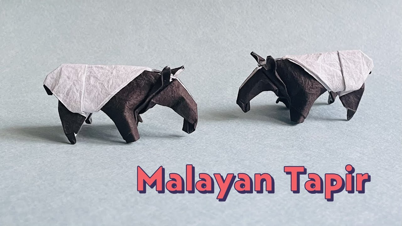 Origami Malayan Tapir, step by step tutorial