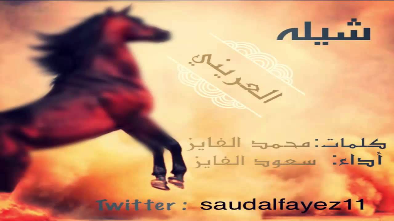 شيلة العريني