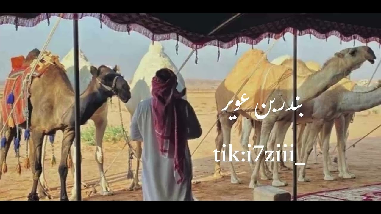 وا قلبي اللي كنه البراد - بندر بن عوير 