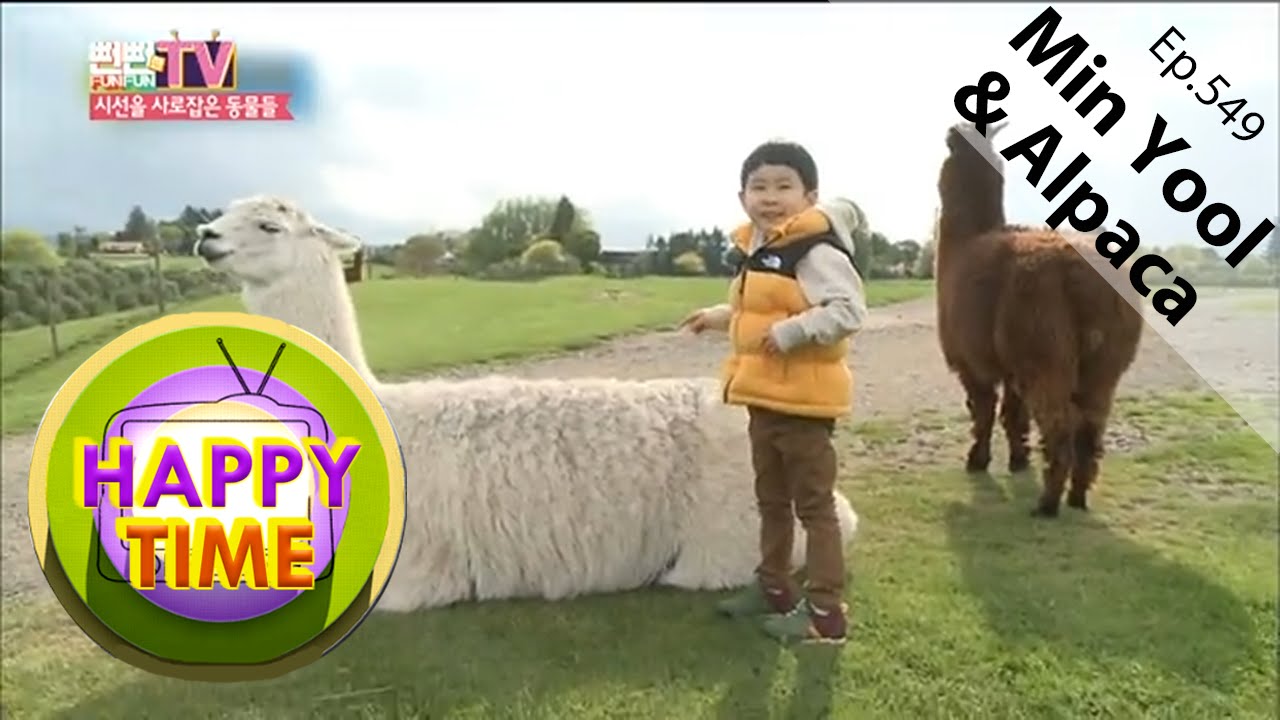 [Happy Time 해피타임] Kim Min-yool & alpaca 
