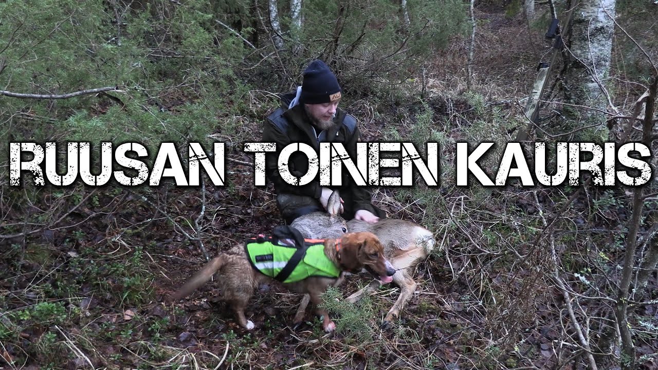 Onnistunut jahtip&auml;iv&auml; - Ruusalle toinen kauris