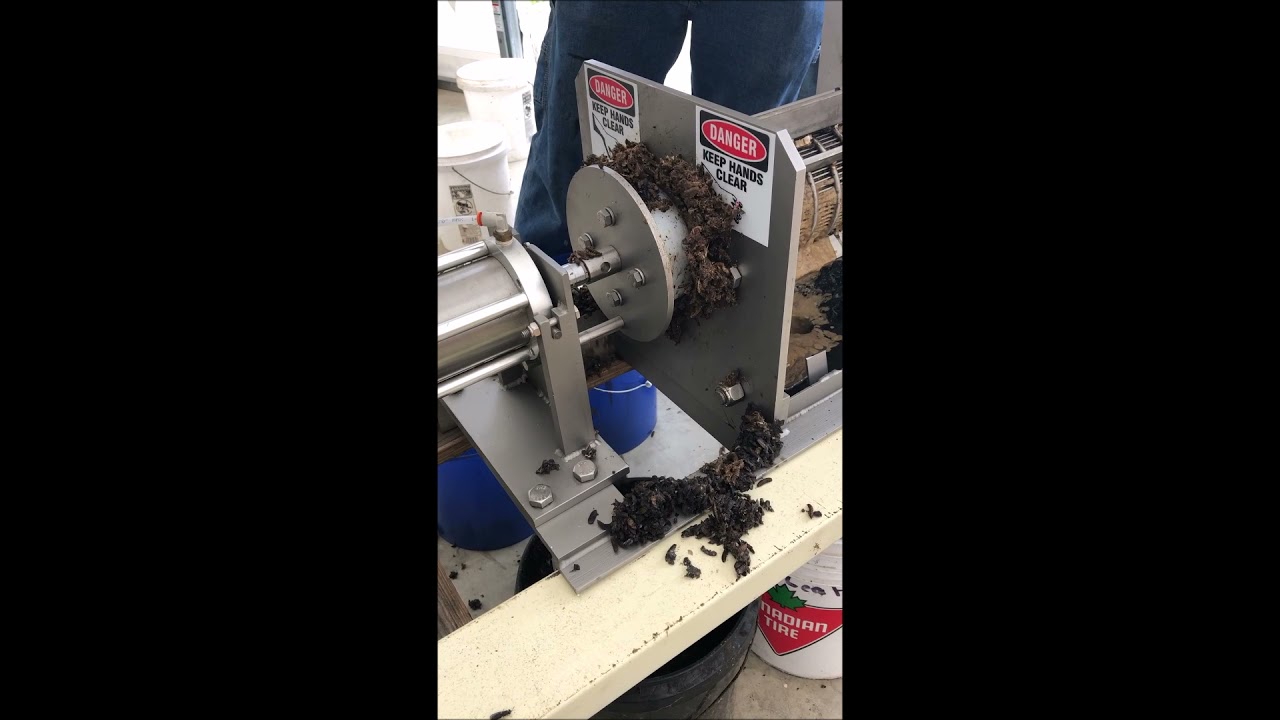 BSF   BLACK SOLDIER FLY PROCESSING