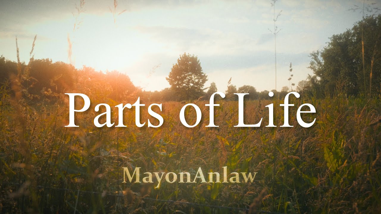 MayonAnlaw - Parts of Life (Official videoclip)