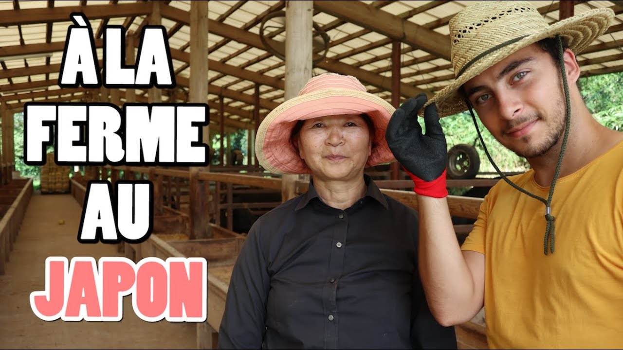 KOBAYASHI, l'énorme bon plan campagne à Kyushu
