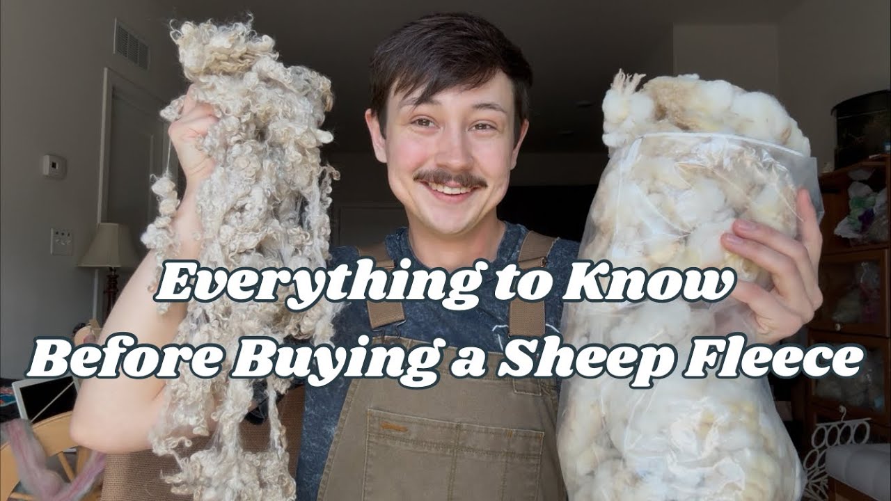Buying Your First Sheep Fleece: What to Avoid & Tips for Spring 2026 