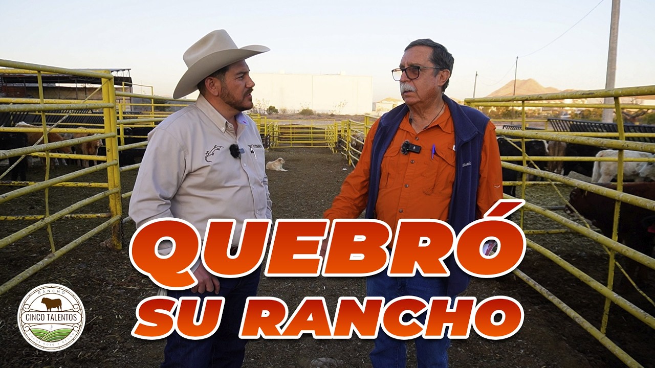MI RANCHO QUEBRÓ | Rancho Cinco Talentos | Ganadería | Chihuahua