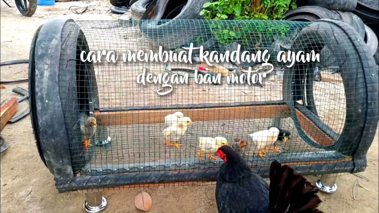 making chicken/bird cages from motorcycle tires