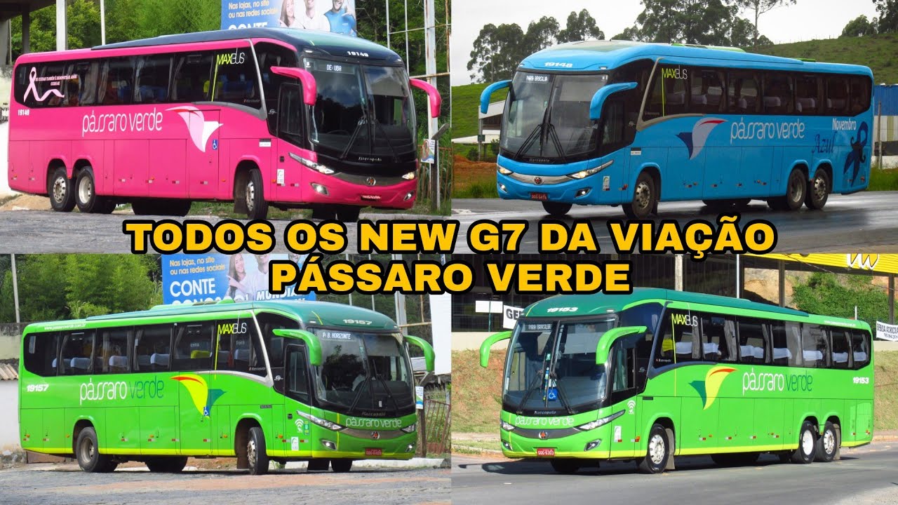 Conhe&ccedil;a todos os NEW G7 da PASSARO VERDE