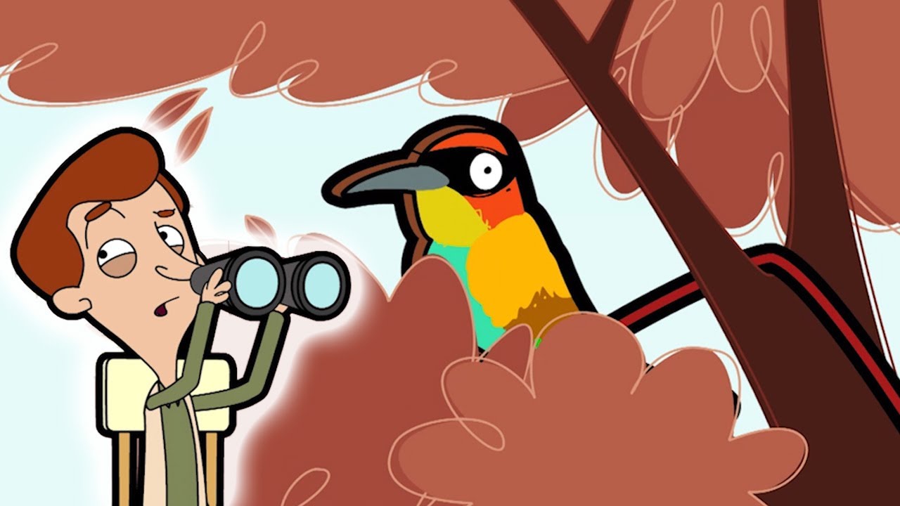 Bean Goes Bird Watching!  | Mr Bean Animated Season 2 | Full Episodes | Mr Bean Official