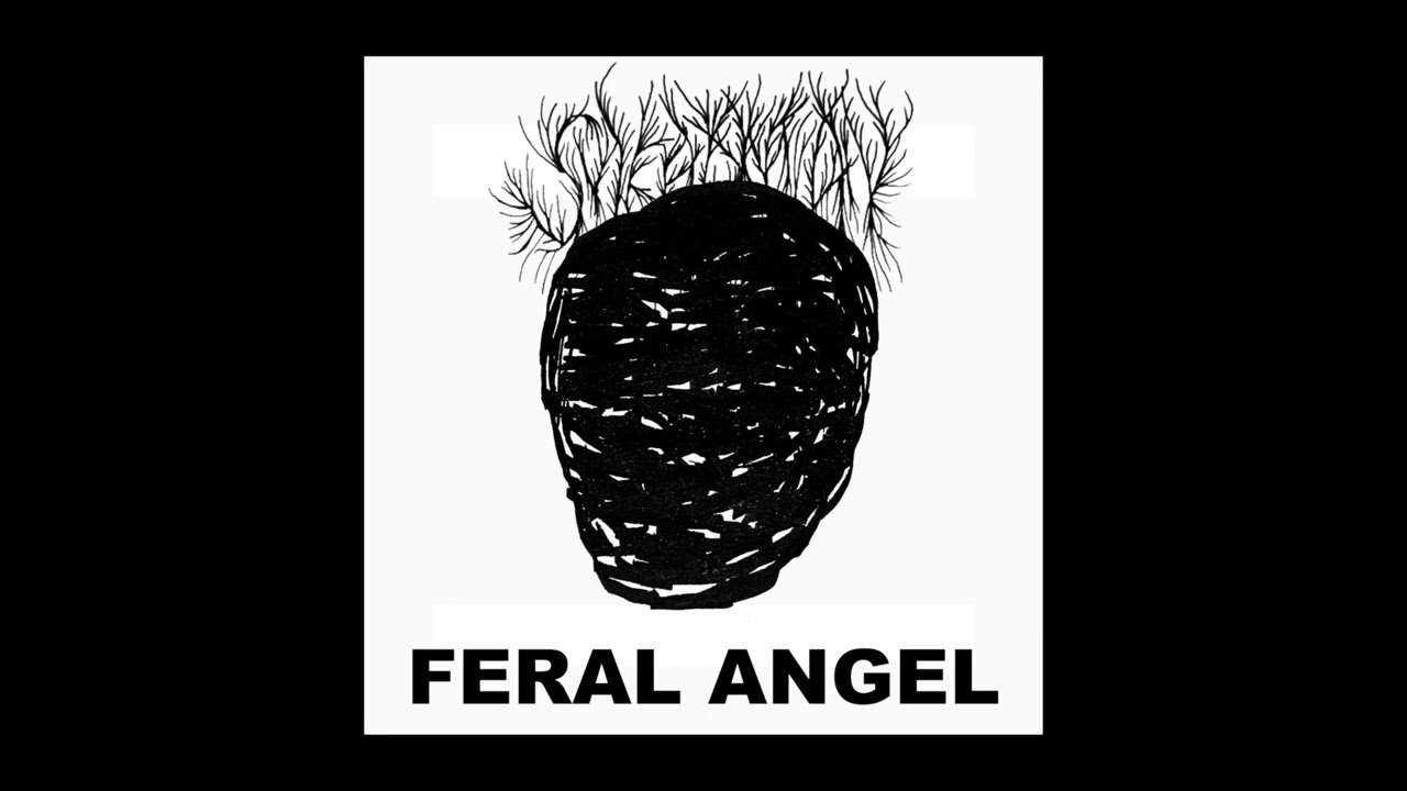 James Shearman - Feral Angel [Full Album] (Harsh Noise)