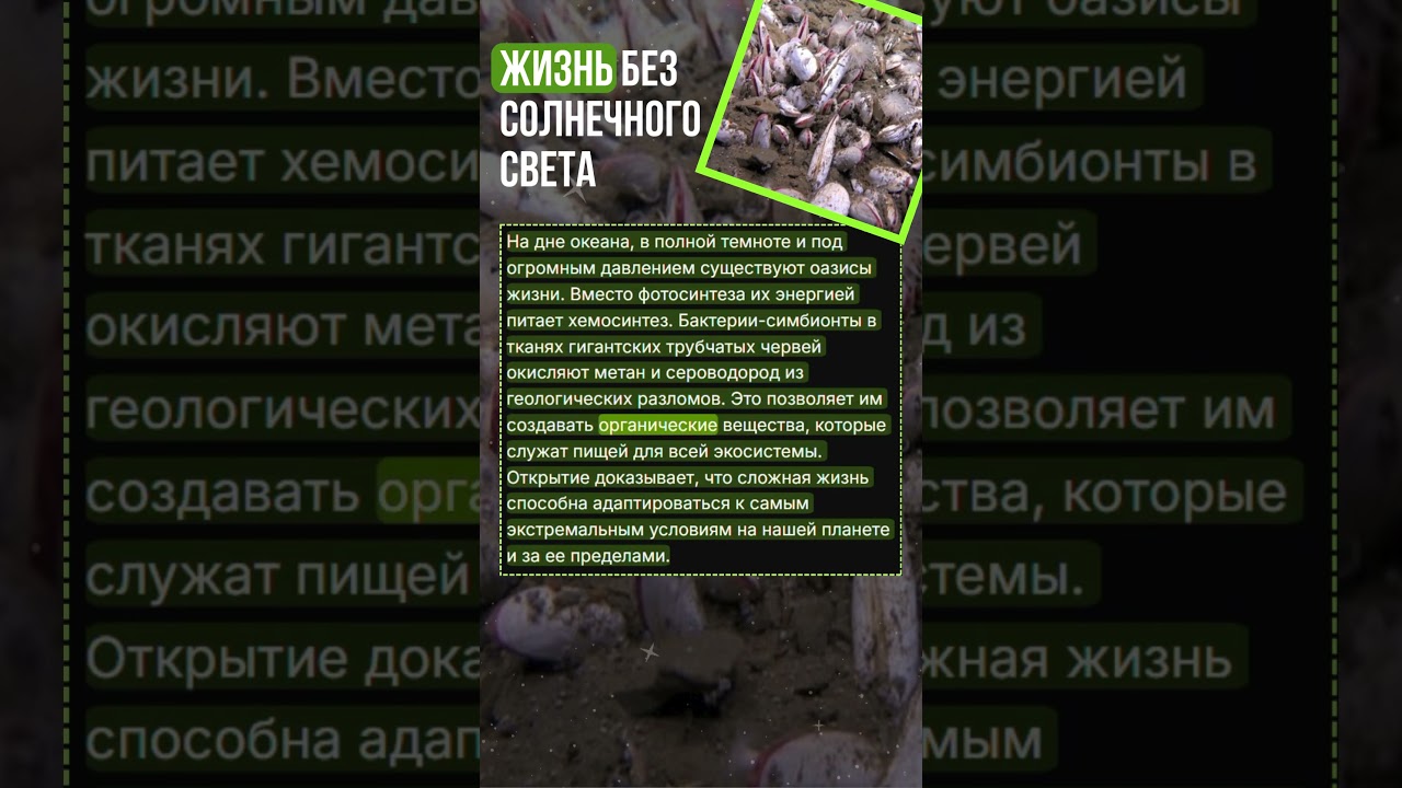🦠 ЖИЗНЬ БЕЗ СОЛНЕЧНОГО СВЕТА #хемосинтез #биология #океан #экстремофилы #астробиология #новости