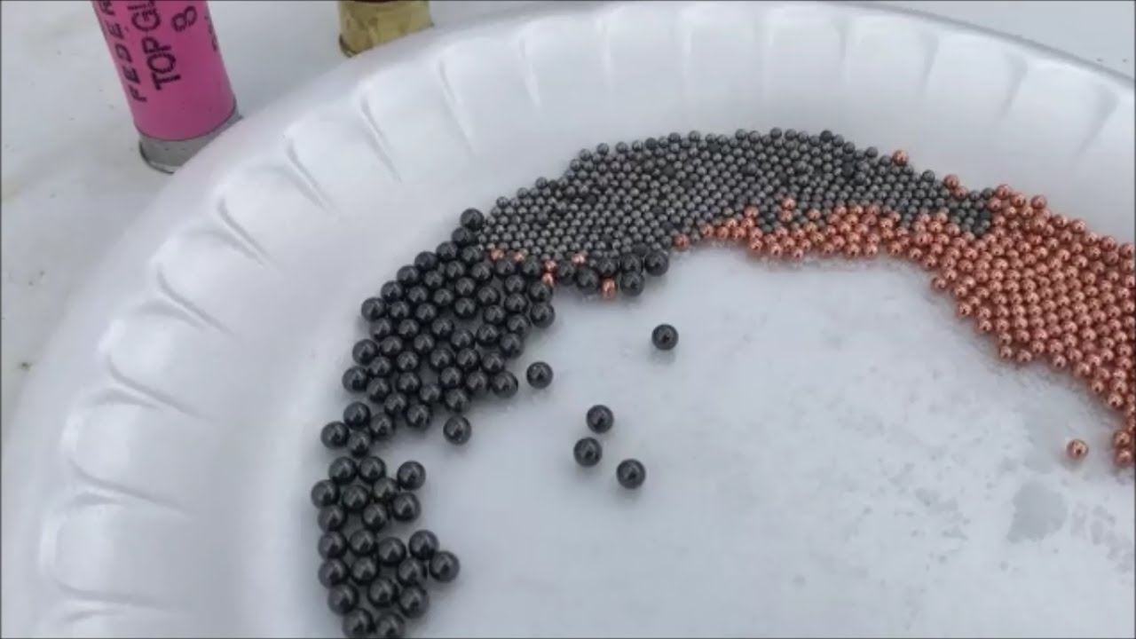 Birdshot for your home defense shotgun?