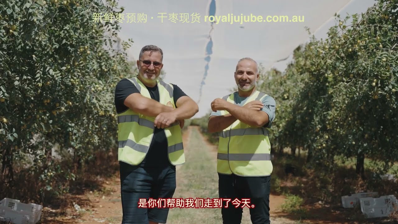 从农场到餐桌｜皇家红枣鲜枣与干枣之旅 | Royal Jujube Australia