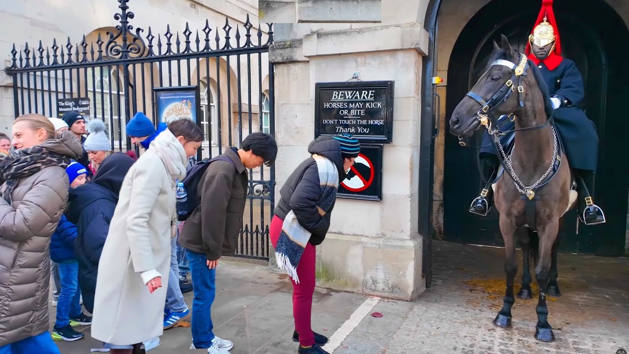 Tourists Show Deep Respect by Bowing to the Guard and Royal Horse
