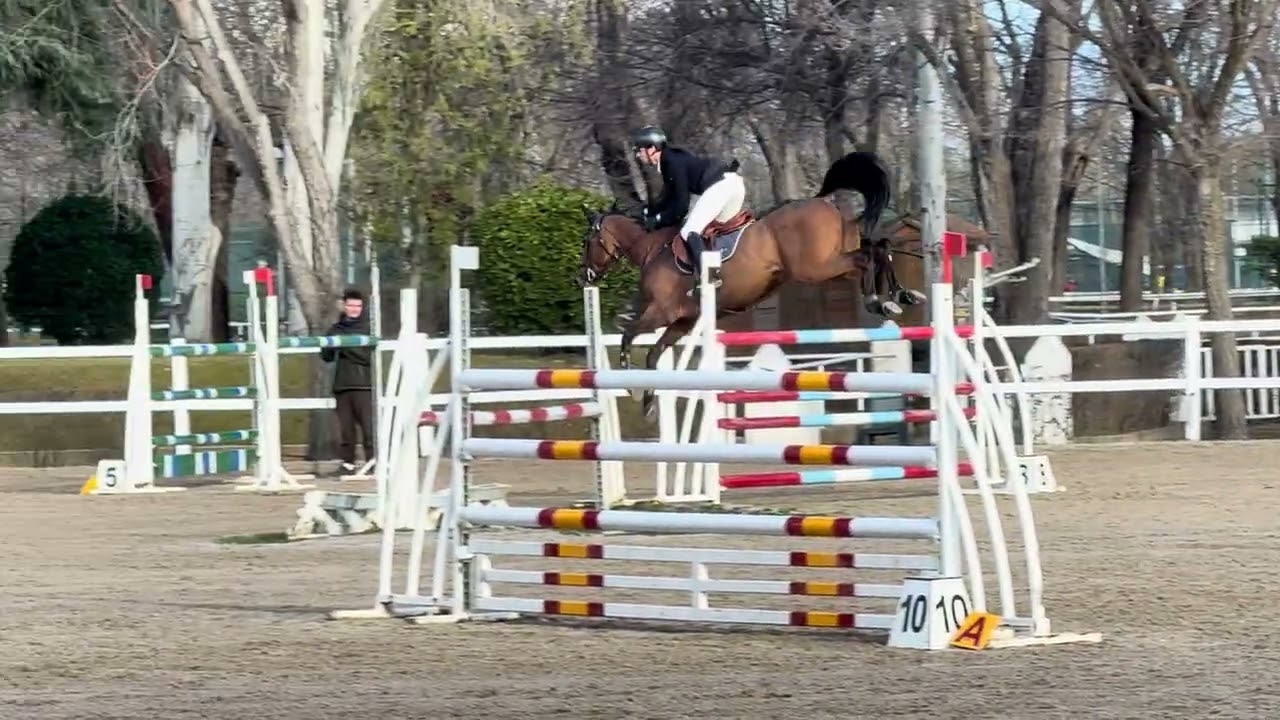 HUSSARD DU BARY (Bassano / Lux Z) 2017 Gelding - CS CCVM Madrid - 135 class - February 2026