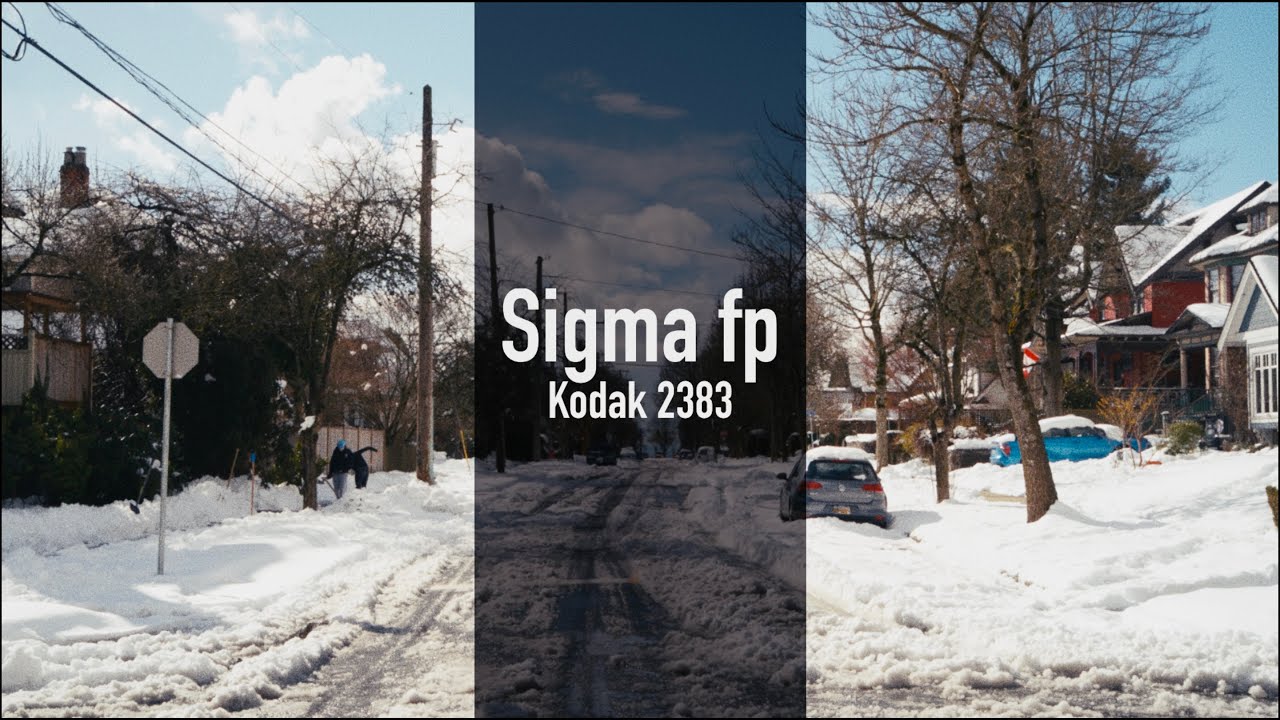 Snow Day | Sigma fp | RAW | Kodak 2383 | 4K