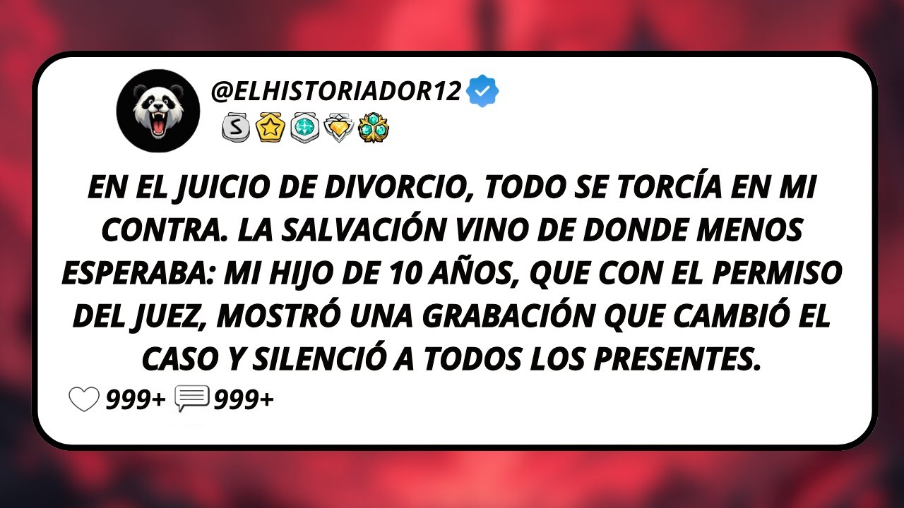 En El Juicio De Divorcio, Todo Se Torcía En Mi Contra. La Salvación Vino De Donde Menos Esperaba...