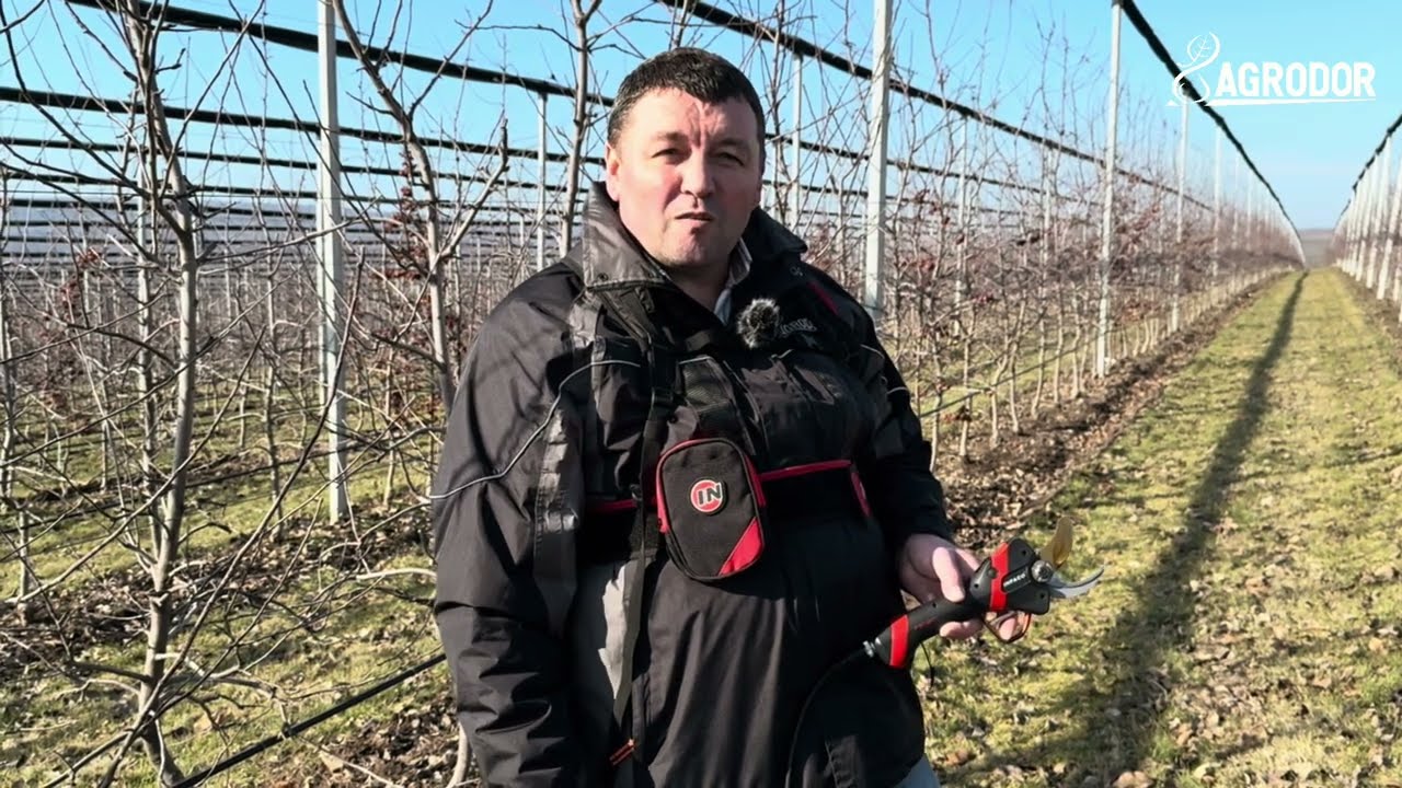 Infaco Electrocoup F3020 ─ economisește timp și energie! │ Instrumente horticole AGRODOR