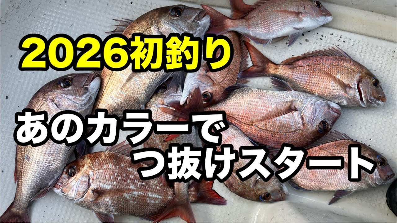 2026初釣り　あのカラーでつ抜けスタート　初冬の瀬戸内タイラバ