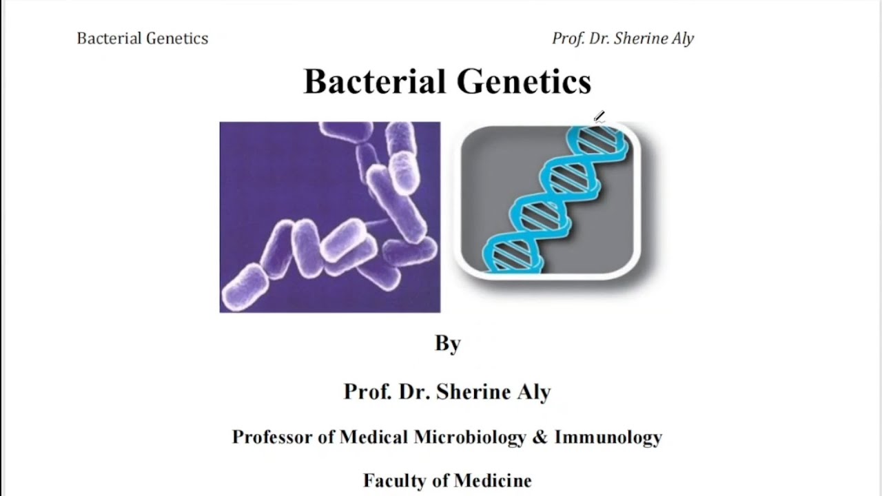 Bacterial genetic 