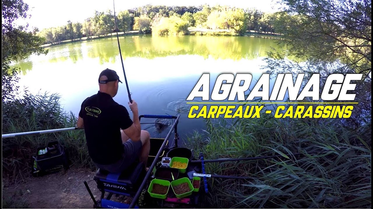 PECHE de CARPEAUX et CARASSINS à l'AGRAINAGE