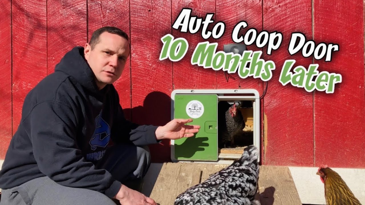 10 month Review OMLET COOP DOOR!  We’ve also changed our Chicken Feed!