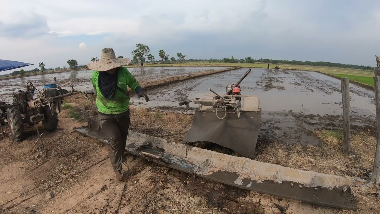 ส่งงานย่ำนาพร้อมหว่านได้เลย เจ้าของนาร้องขอวันเดียวจบ ไร่ล่ะ 200 บาท