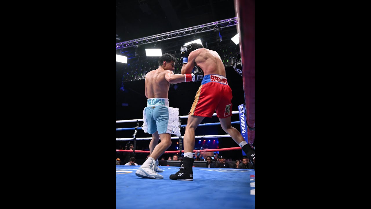 Justin Viloria vs. Alejandro Yung Wong Highlights TKO