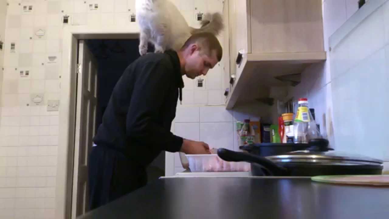 My Ragdoll Cat - 4 kilograms on my shoulders