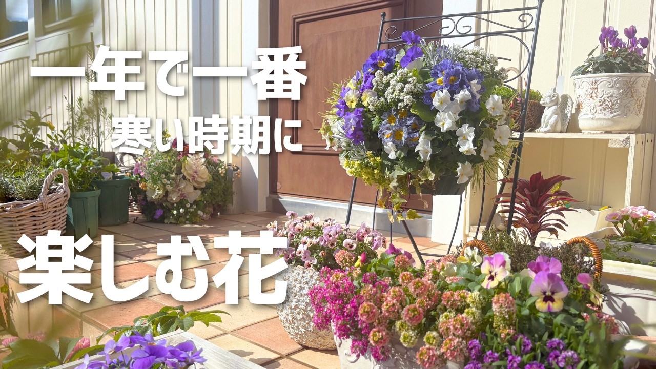 冬の花