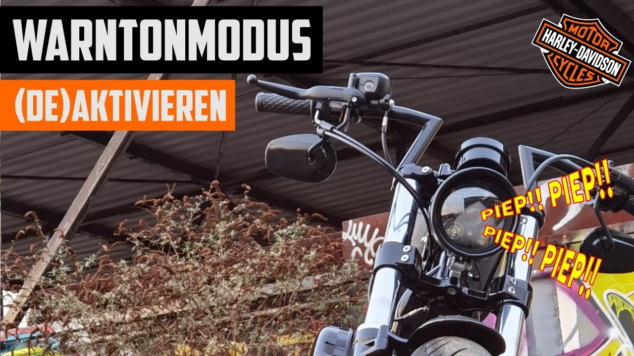 Das Piepen der Alarmanlage  ausschalten | How to | Harley Davidson | Sportster & Street Bob