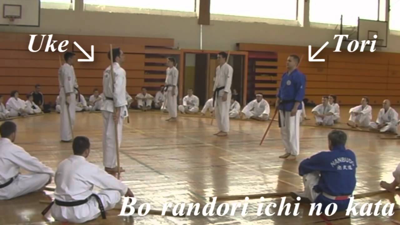 Nanbudo INF_bo seminar 6.3.2011.