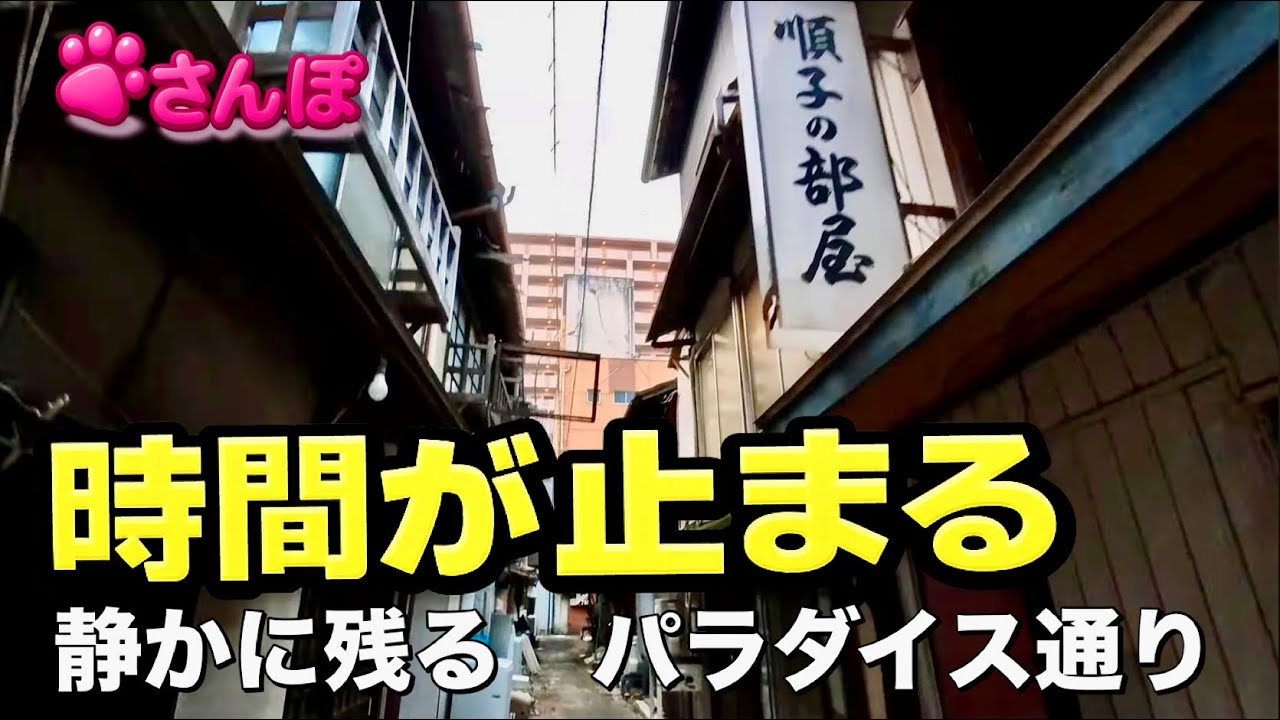 知られざるパラダイス通り片原町 赤線跡を辿るThe Forgotten Paradise Street | Tracing Takamatsu’s Red-Light District History