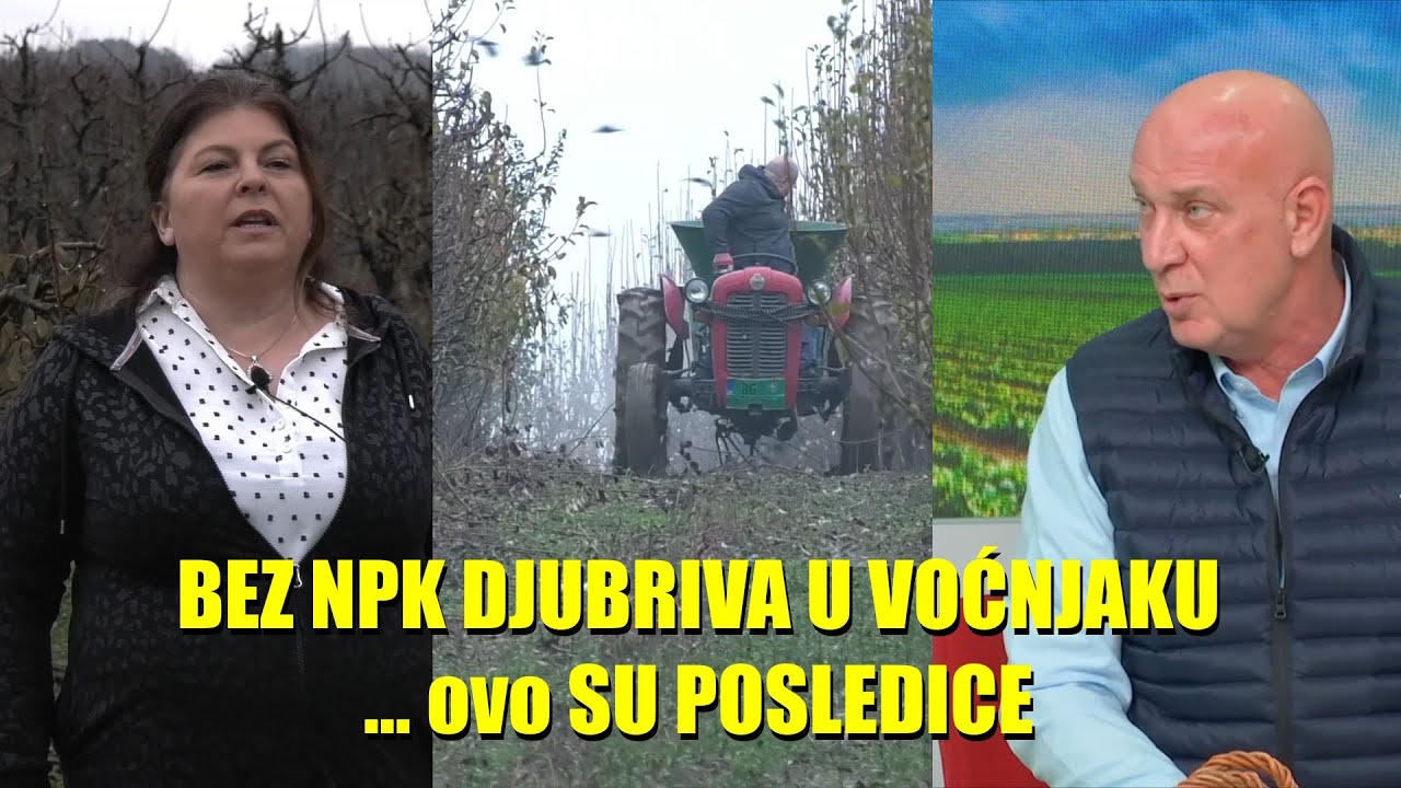 Upotreba POBOLJ&Scaron;IVAČA  ZEMLJE u voćarstvu -evo koja su KONKRETNO ISKUSTVA - vreme primene i količine