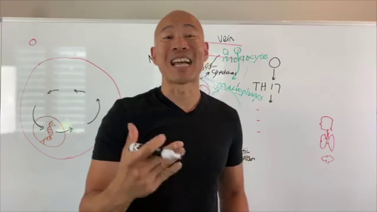 Inflammation & autoimmune co-stimulate NfKb creating chronic illness