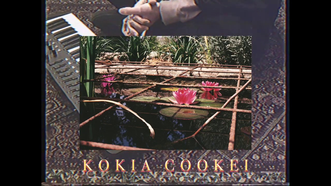Palm Voyage - Kokia Cookei