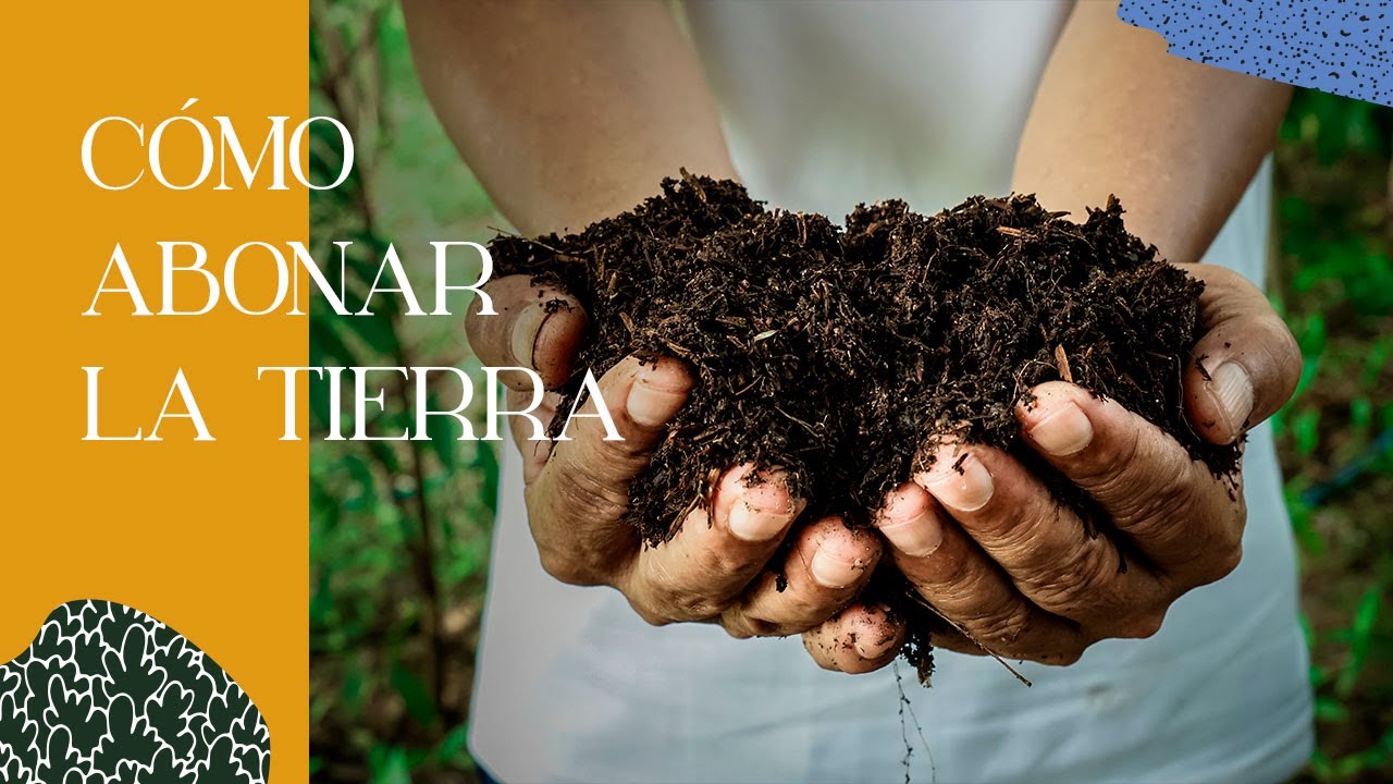 C&oacute;mo ABONAR la tierra con ESTIERCOL