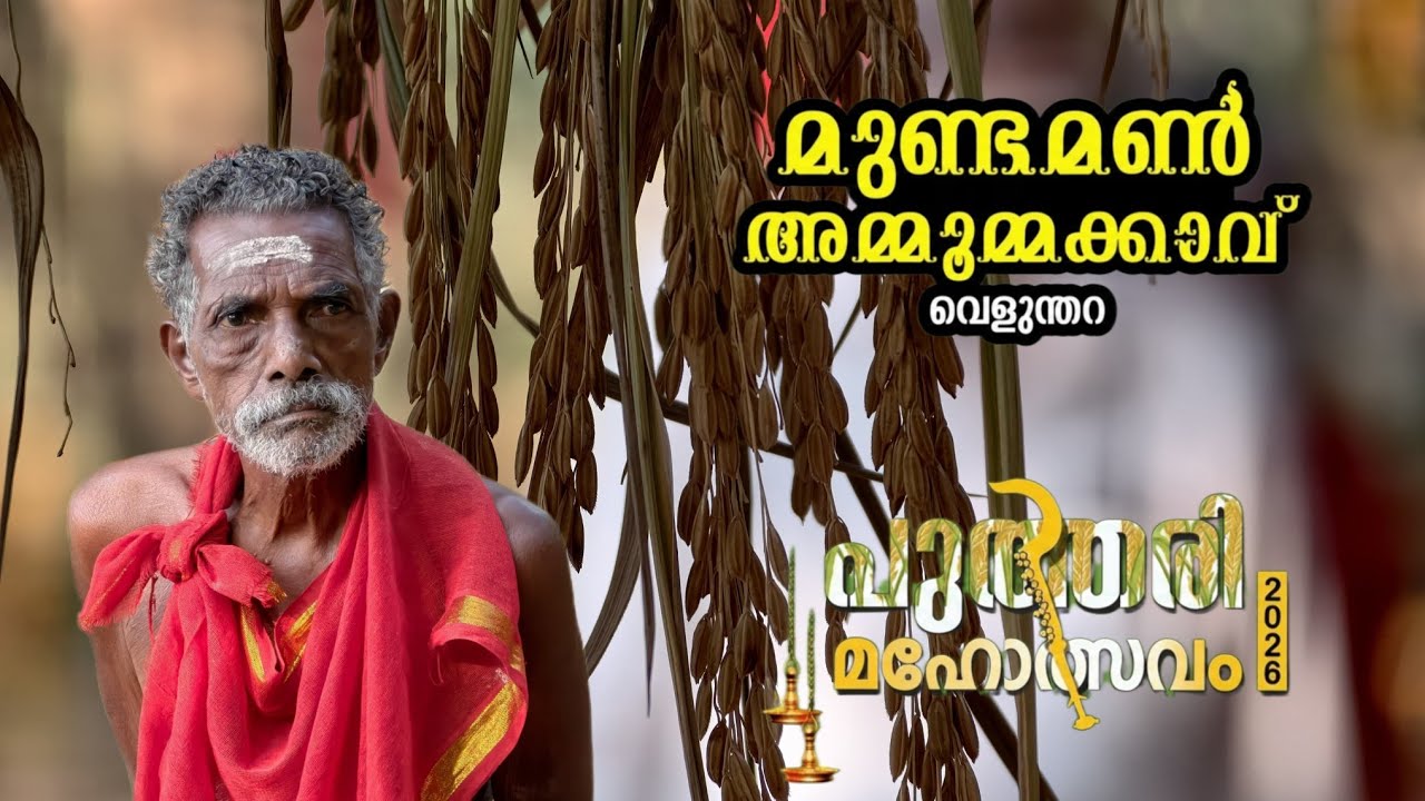 അമ്മൂമ്മക്കാവ് പൊങ്കാല #ammommkkavu #mundan #ammommakkavu #kadakkal #chariparambu #kollam #temple 