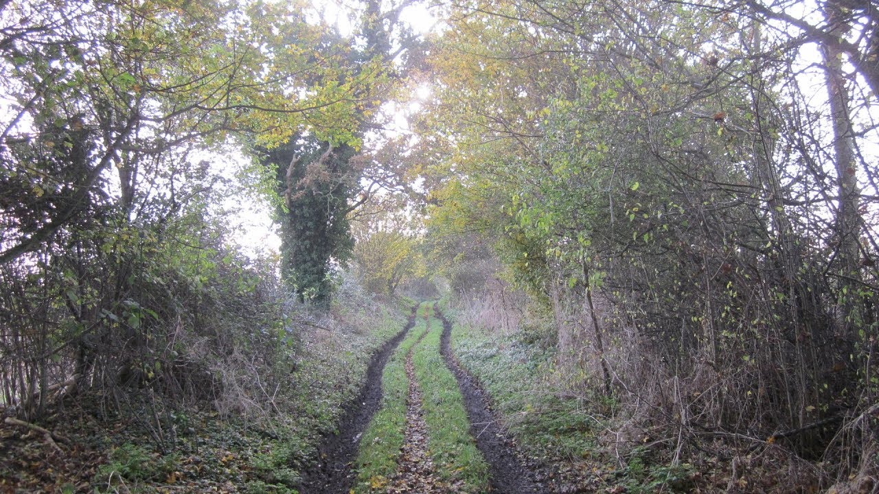Little Walsingham Great Snoring Country Walk Scenery, Norfolk Walks Tour England Walking Holidays UK