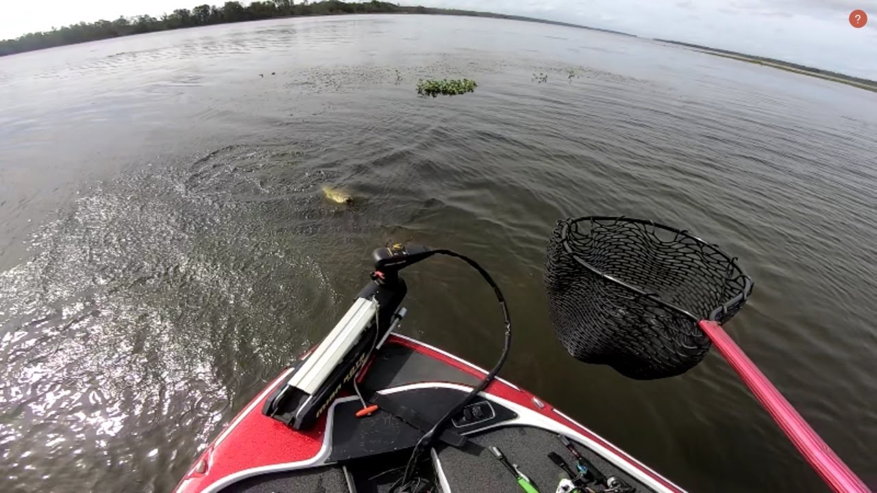 Lake Seminole || RiverBassin
