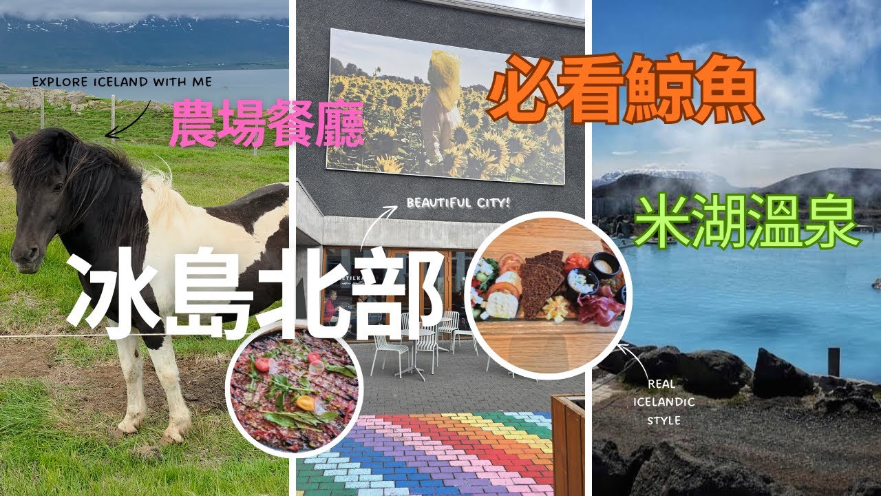 #冰島 自駕遊11天 EP2 冰島北部 / 必看鯨魚 /去食農場餐廳 /泡米湖溫泉 /廣東話 2025