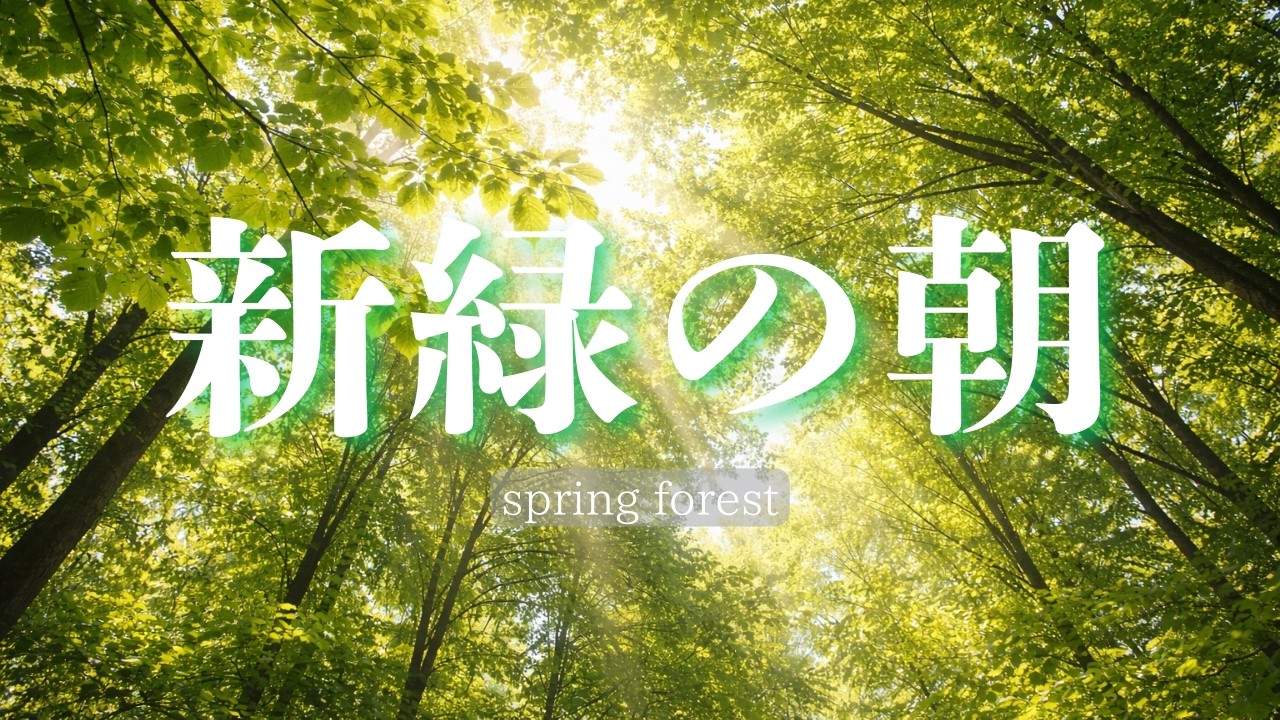 【春の作業用BGM】新緑の森のやさしい朝｜集中・勉強・読書｜歌なし｜Window 30