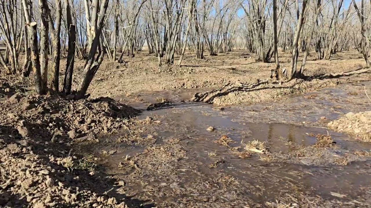 #flood_irrigation