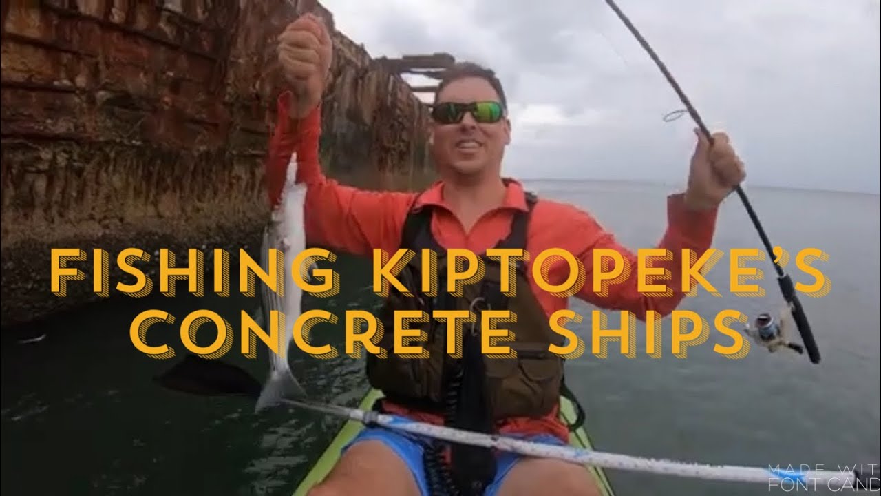 Fishing the Concrete Ships of Kiptopeke Virginia !