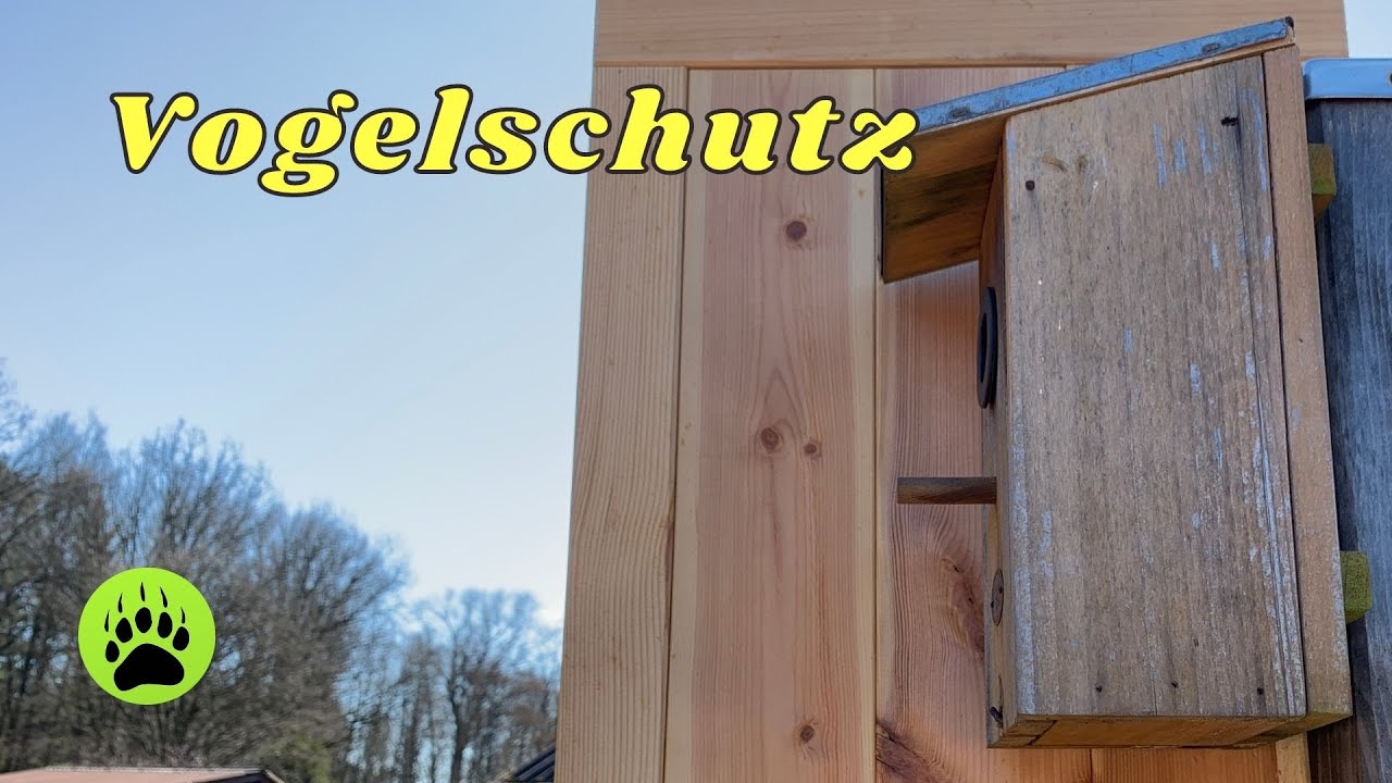 Vogelschutz - Hitzeschutz 🎬 60