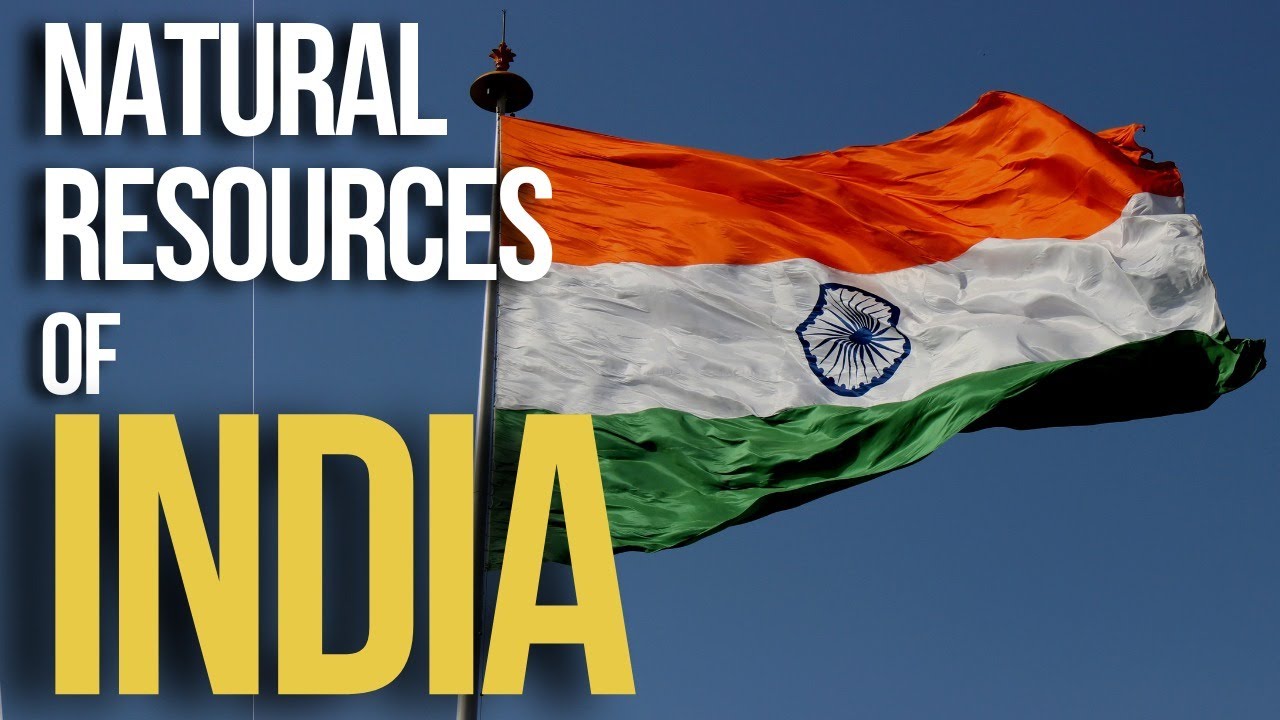 The Backbone of India's Economy: Exploring Natural Resources of India | Global Knowledge