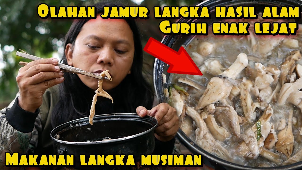 MAKANAN LANGKA MUSIMAN JAMUR HUTAN HASIL ALAM