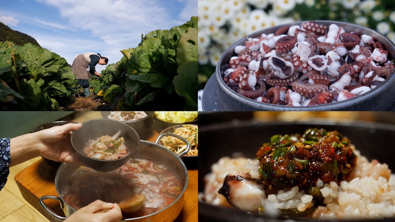 Вкусный рецепт осьминога с Восточного моря Кореи 🐙 | Теплая жизнь в деревне