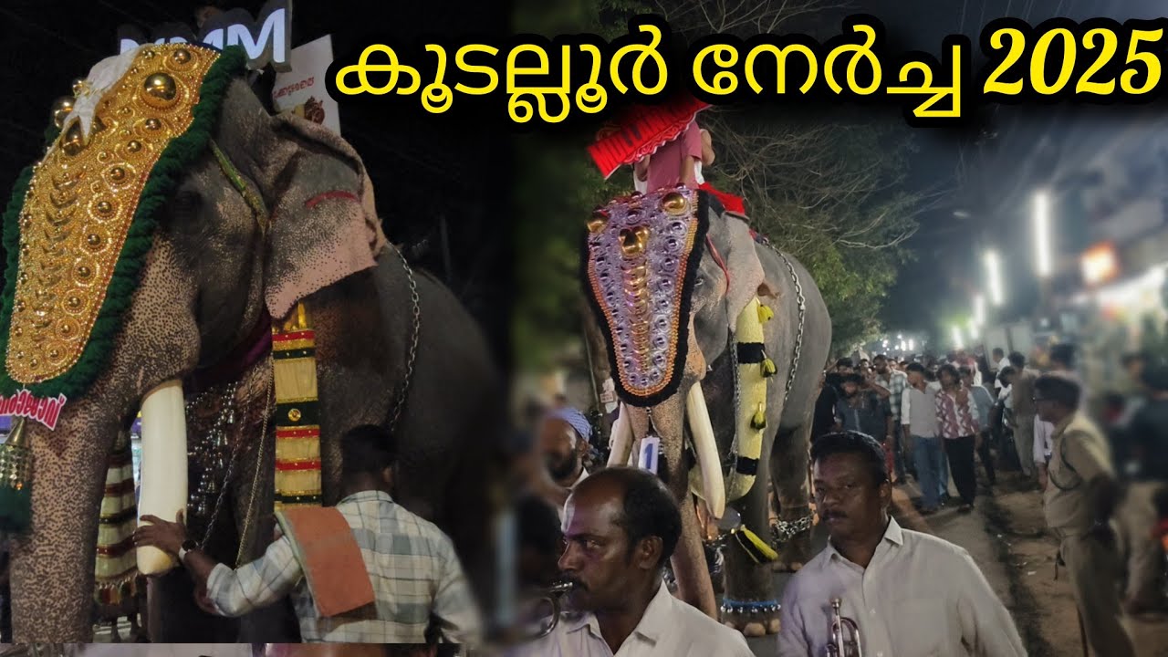 കൂടല്ലൂർ നേർച്ച 2025 kudallur nercha 2025 #kudallur fest 2k25