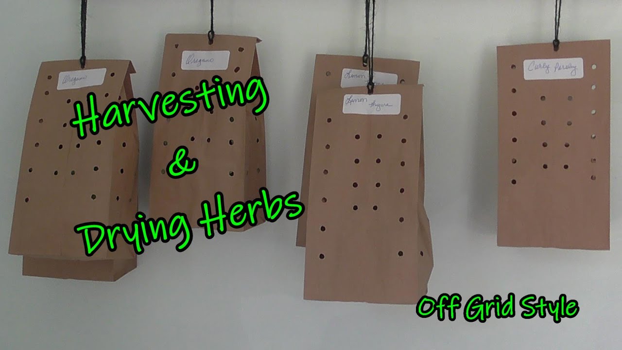 Harvesting & Drying Herbs  | Off Grid Style